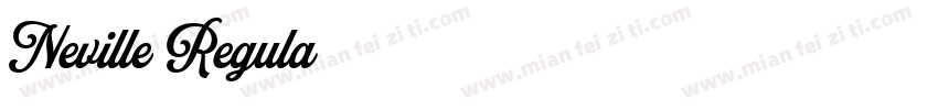 Neville Regula字体转换